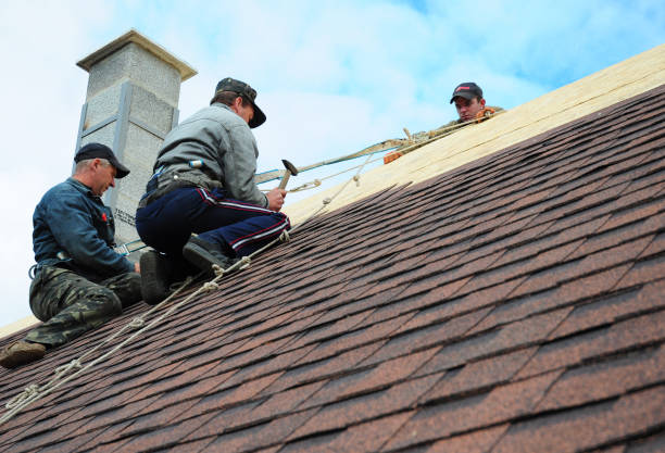 Best Roof Maintenance Services  in Princeton Meadows, NJ